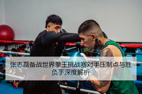 张志磊备战世界拳王挑战赛对手压制点与胜负手深度解析