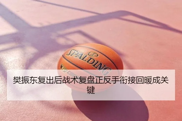 樊振东复出后战术复盘正反手衔接回暖成关键