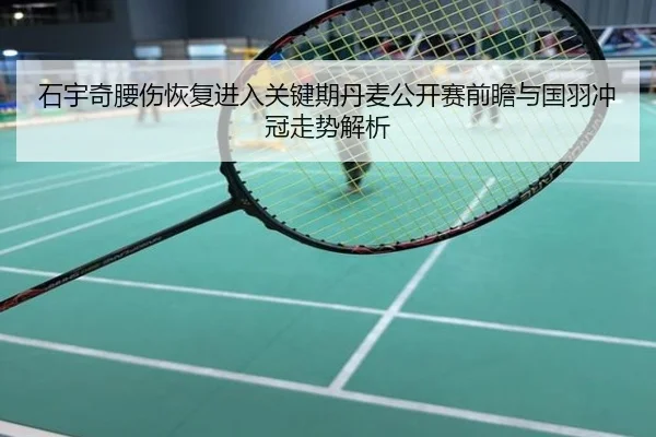 石宇奇腰伤恢复进入关键期丹麦公开赛前瞻与国羽冲冠走势解析